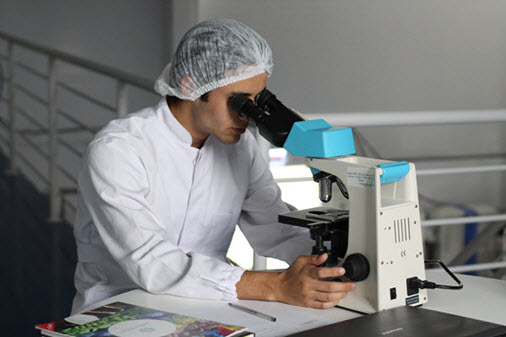 Photograph of a research scientist looking through a microscope